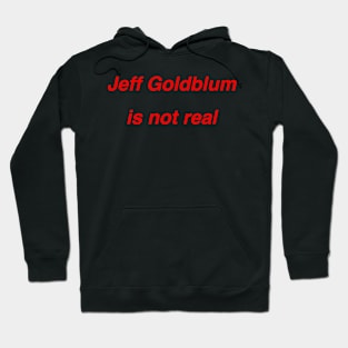 Jeff Goldblum is not real Hoodie